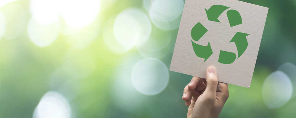 Putting the Planet First: Sustainability in the Packaging Sector
